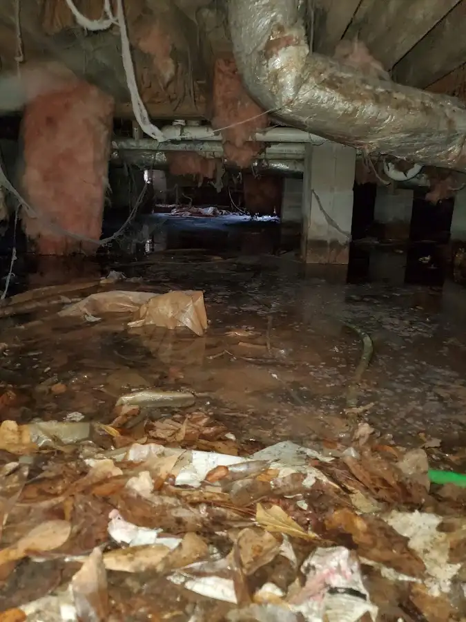 Crawl space flood assessment for Commercial Water Damage Restoration in Douglass Hills